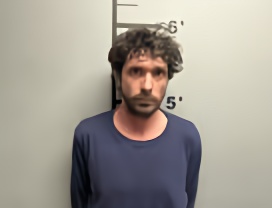 Mugshot of MITCHELL ALLEN DAVIS