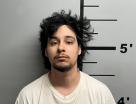 Mugshot of JULIO ALVARO EMMANUEL RUIZ-CILIO