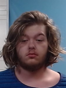 Mugshot of Jesse William Sheets-Rains