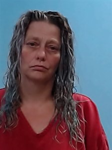 Mugshot of Tiffany Lynn Hinds