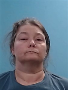 Mugshot of Marika Lynn Shields