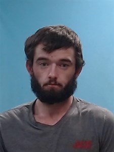 Mugshot of Brian Levi Stanford