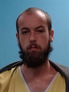 Mugshot of Cameron Michael Richardson