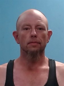 Mugshot of Ronald Shalmy