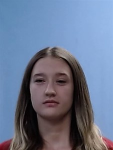 Mugshot of Erin Michelle Estes