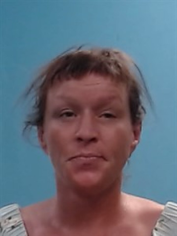 Mugshot of Kristin Renee Harrington