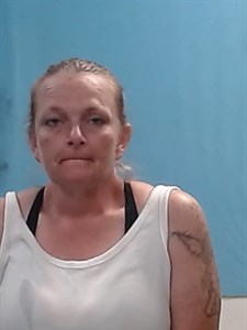Mugshot of Holly Irene Milliken