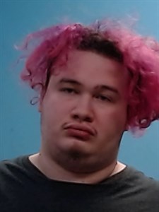 Mugshot of Nestor David Diaz