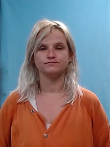 Mugshot of Ashley Nicole Hunt