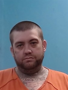 Mugshot of Travis Wayne Woolsey
