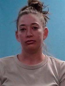 Mugshot of April Dawn Remer