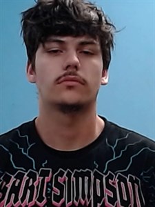 Mugshot of Brandon Rolando Figueroa