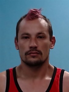 Mugshot of Joseph William Howe