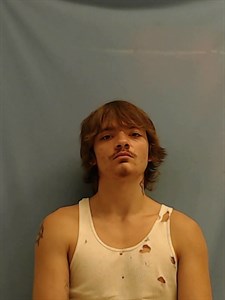 Mugshot of William Garrett Whiddon