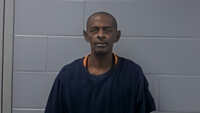 Mugshot of DWAYNE L RICHARDS