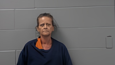Mugshot of STEPHANIE L RADLEY