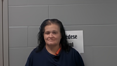 Mugshot of JULIA D SANCHEZ