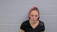 Mugshot of SUMMER M HAMILTON