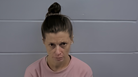 Mugshot of LAUREN M BOGARD