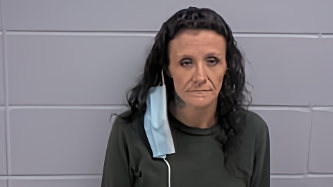 Mugshot of BRIDGETTE L CRAFT
