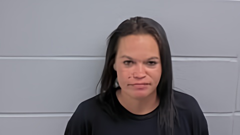 Mugshot of SARAH R HENRICKSON