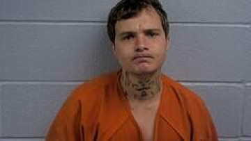Mugshot of TRAVIS N TAYLOR