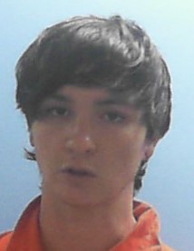 Mugshot of DYLAN MOREHEAD
