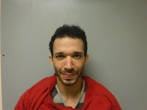 Mugshot of Wilner Jose Figueiredo Rodrigues
