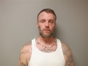 Mugshot of Chase Allan Brown
