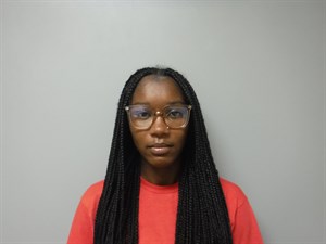 Mugshot of Antoinette Renee Preston