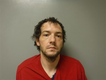 Mugshot of Romin Stephen-Dale Mcgowan