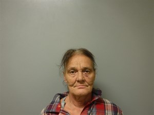 Mugshot of Kathleen Kay Clark