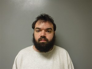 Mugshot of Logan Zane Holley