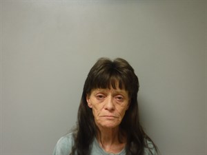 Mugshot of Violet Louise Tipton