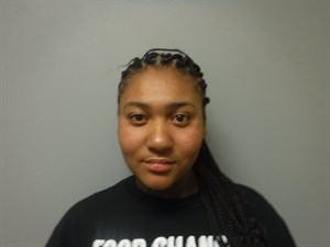 Mugshot of Ariel Nicole Lamb