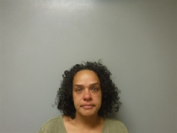 Mugshot of Erna Bass Paradise