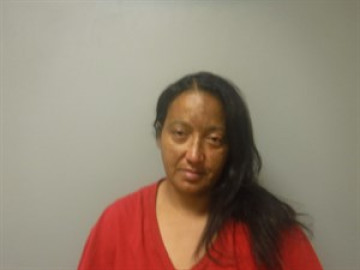 Mugshot of Venissa Josephine Payne
