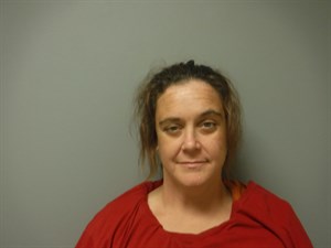 Mugshot of Ashlin Brooke Owens