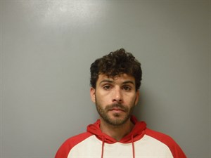 Mugshot of Trevor Allen Ingram