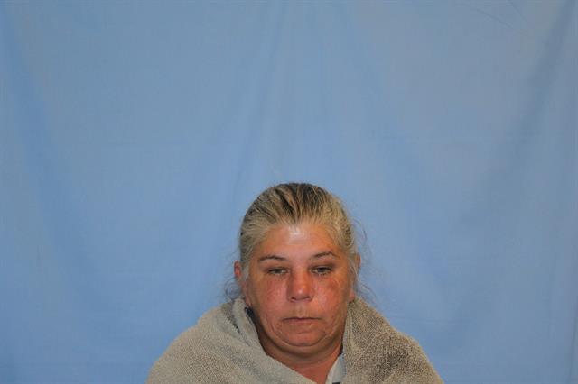 Mugshot of DONNA RENEE BLAKE
