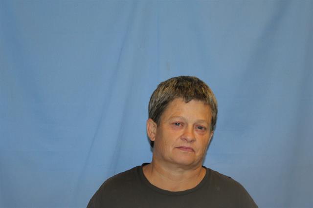 Mugshot of LISA ANN KIDD