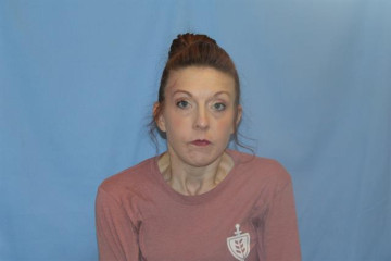 Mugshot of ANDREA DAWN ROBINSON