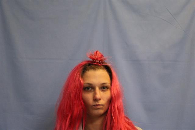 Mugshot of LILY ANN PARVIN