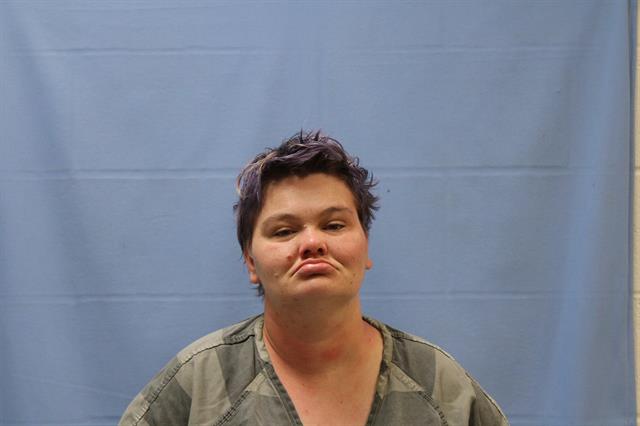 Mugshot of MARY ELIZABETH CLARK