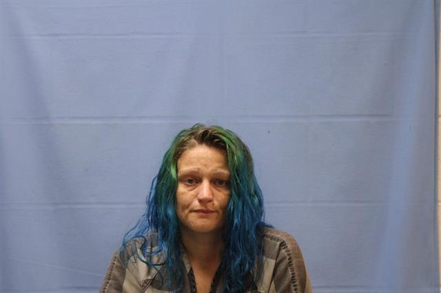 Mugshot of BRANDIE DANIELLE TIMMERMAN