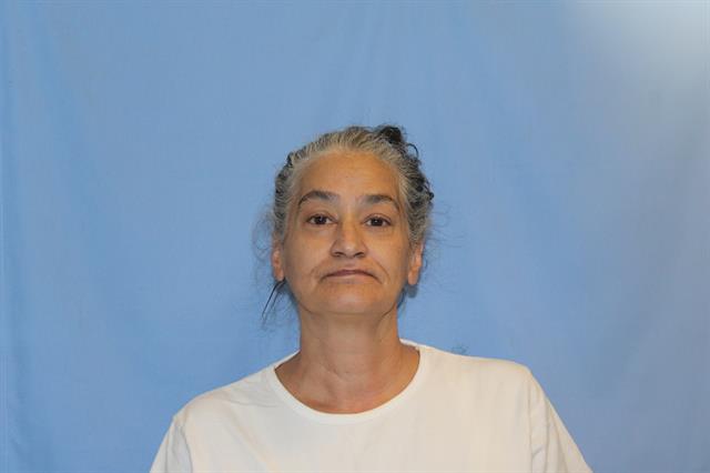 Mugshot of LISA NICOLE SMITH