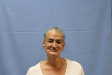 Mugshot of LISA NICOLE SMITH