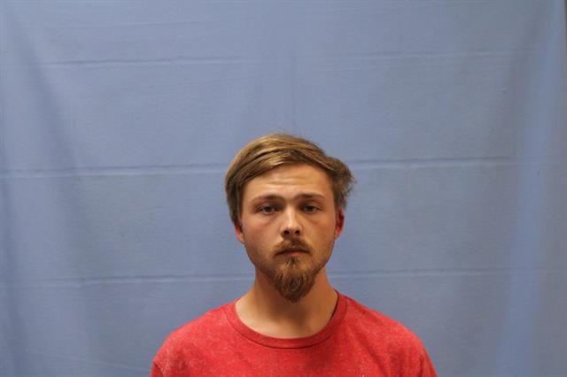 Mugshot of DYLAN RAY ROBINSON