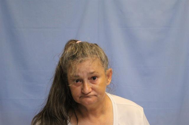 Mugshot of AMY DIANE WELCH