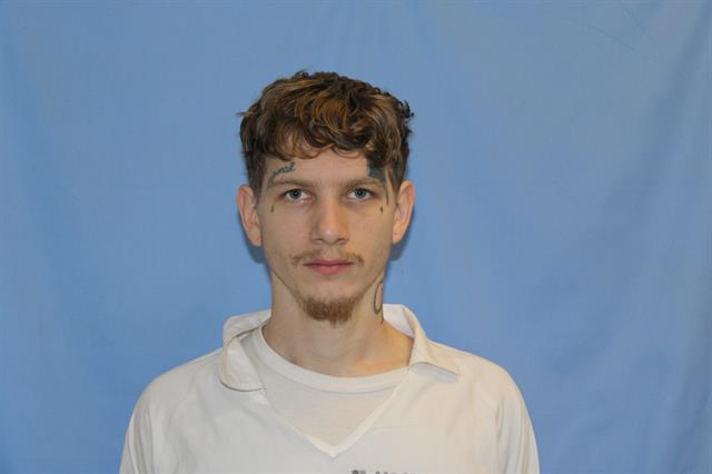 Mugshot of LOGAN JACOB TIBBITTS